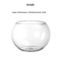 Transparent Hydroponic Vase